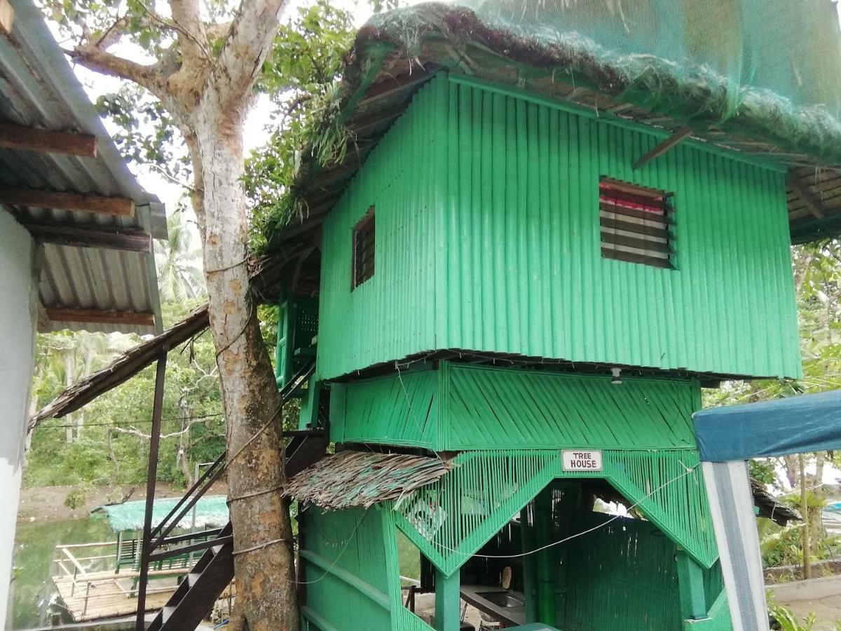 Nature Green Forest Resort Baler Exterior foto